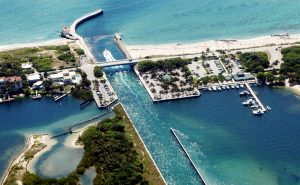 Big catch on Boynton Beach offshore fishing trip